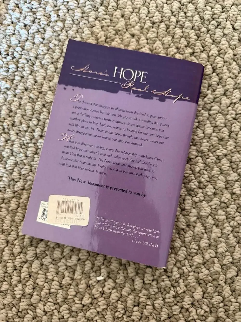 Here's Hope Bible: New International Version, New Testament: